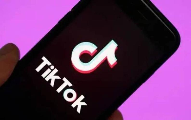 Tiktok Users Share Cross-Border Technology Work And Cultural Exchanges