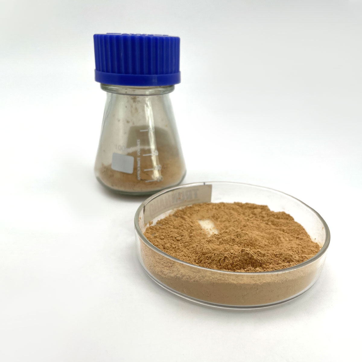 Transforming Modern Construction: The Science, Innovation, and Future of Concrete Additives in High-Performance Infrastructure mortar waterproofing additive