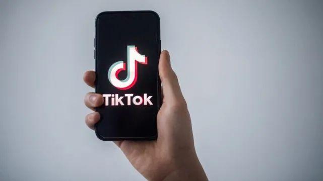 Tiktok Becomes A Community Of Plant Lovers