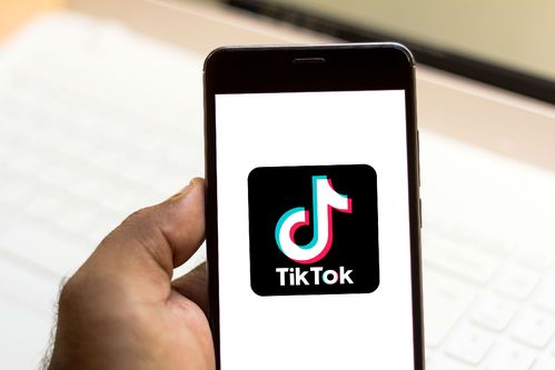 Research On Content Of Tiktok Creators Quality Science 