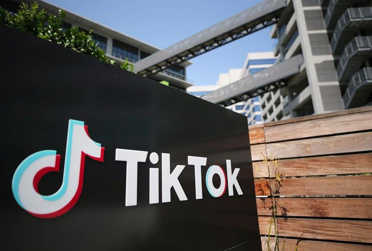 Tiktok Handicraft Teaching Videos And Traditional Culture Inheritance 