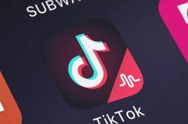 TikTok's New